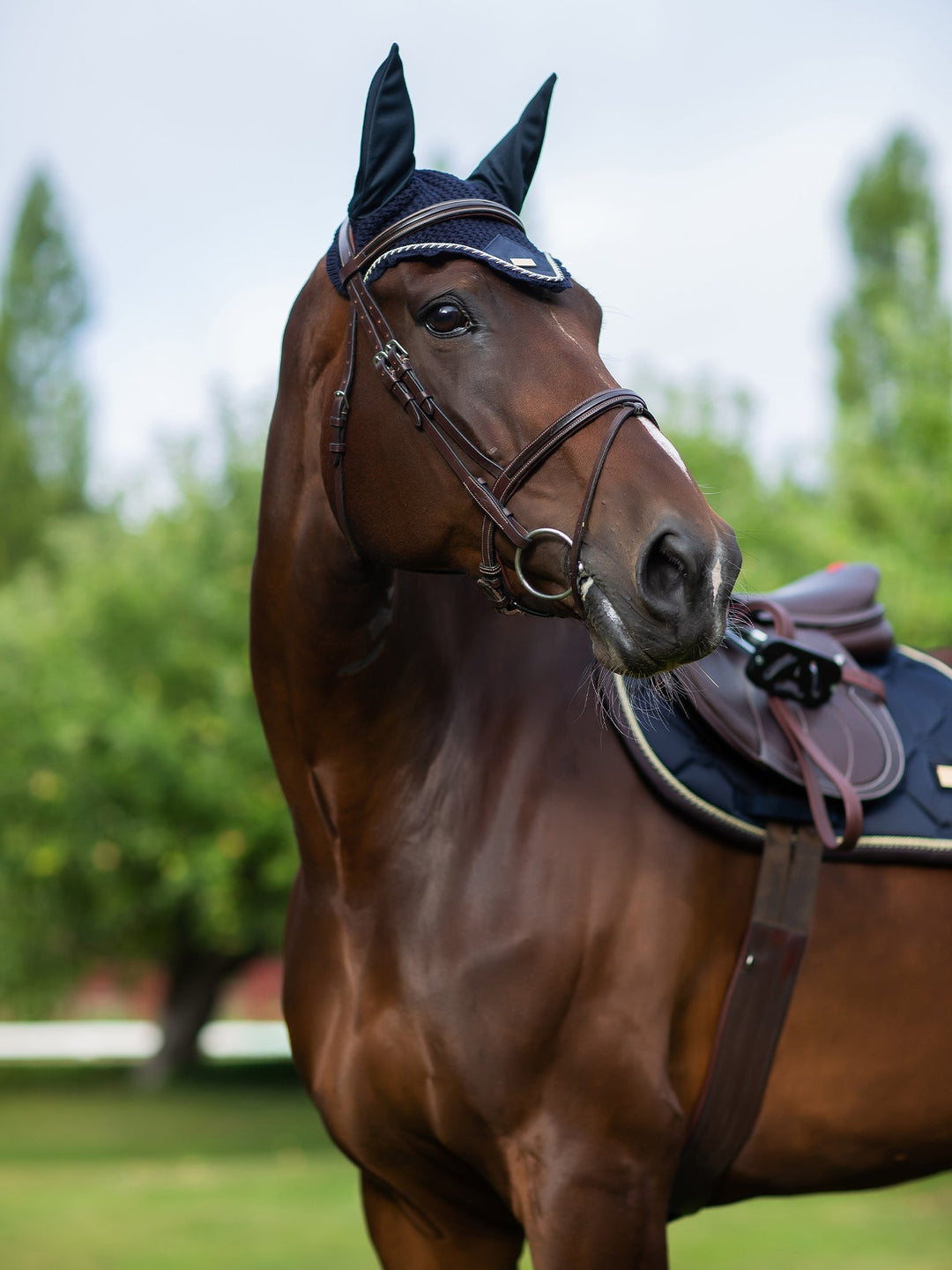 Equestrian Stockholm Jump Saddle Pad Royal Classic - Jump Saddle Pad - Kingdom Equestrian