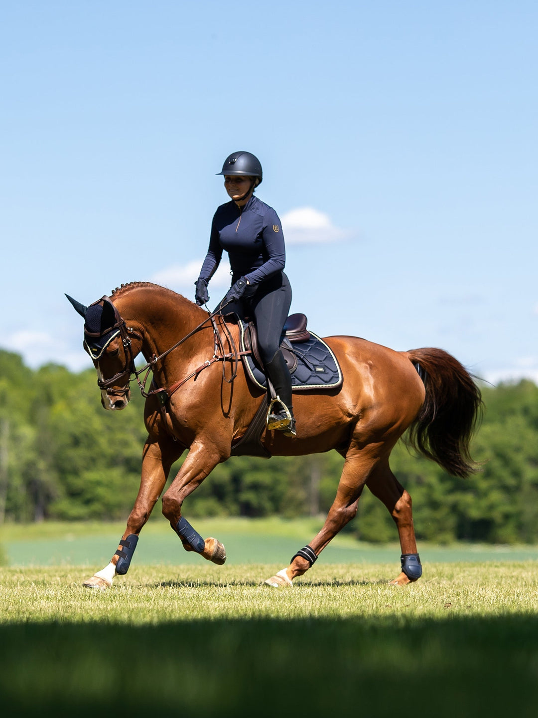 Equestrian Stockholm Jump Saddle Pad Royal Classic - Jump Saddle Pad - Kingdom Equestrian