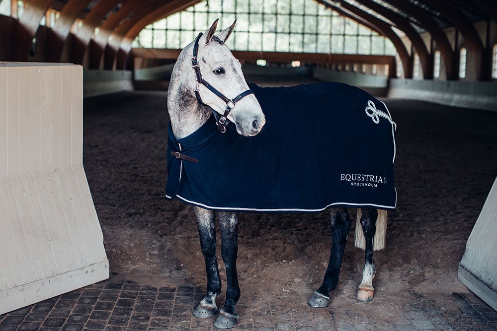Equestrian Stockholm Leather Halter &amp; Lead Chain Navy Silver - Halter - Kingdom Equestrian