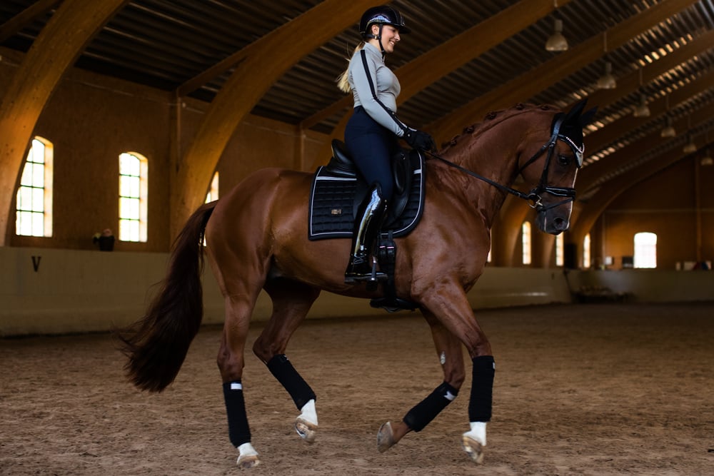 Equestrian Stockholm Reflective Dressage Saddle Pad Performance Luminous Black - Dressage Saddle Pad - Kingdom Equestrian