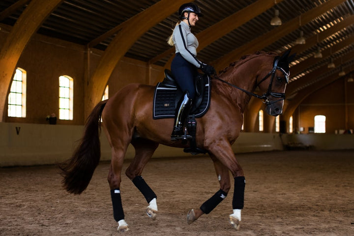 Equestrian Stockholm Reflective Dressage Saddle Pad Performance Luminous Black - Dressage Saddle Pad - Kingdom Equestrian