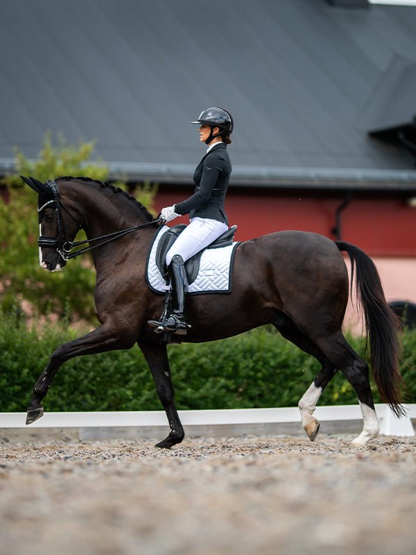 Equestrian Stockholm Soundless Fly Hood Clean Black - Ear Bonnet - Kingdom Equestrian