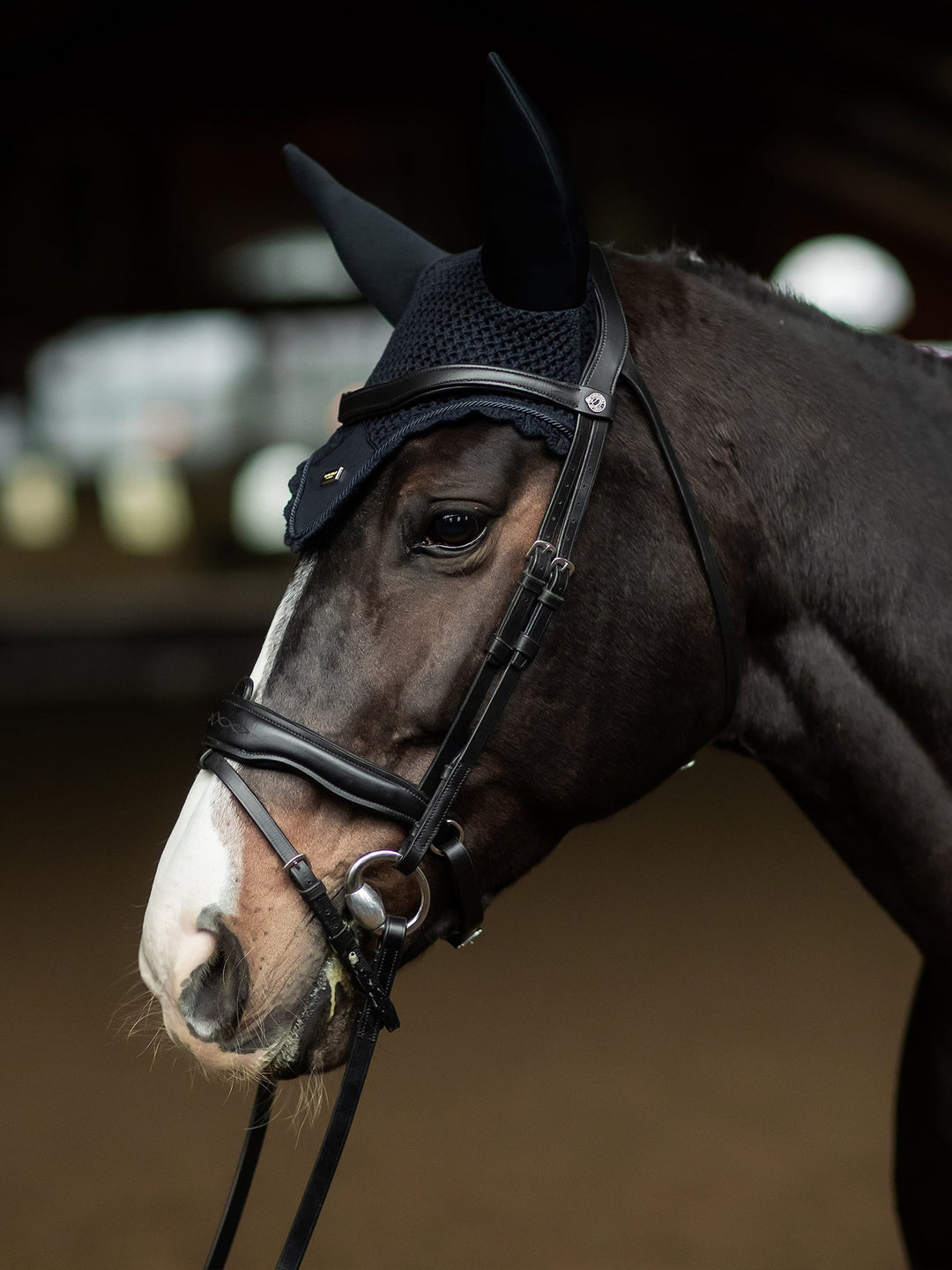 Equestrian Stockholm Soundless Fly Hood Navy Gold - Ear Bonnet - Kingdom Equestrian
