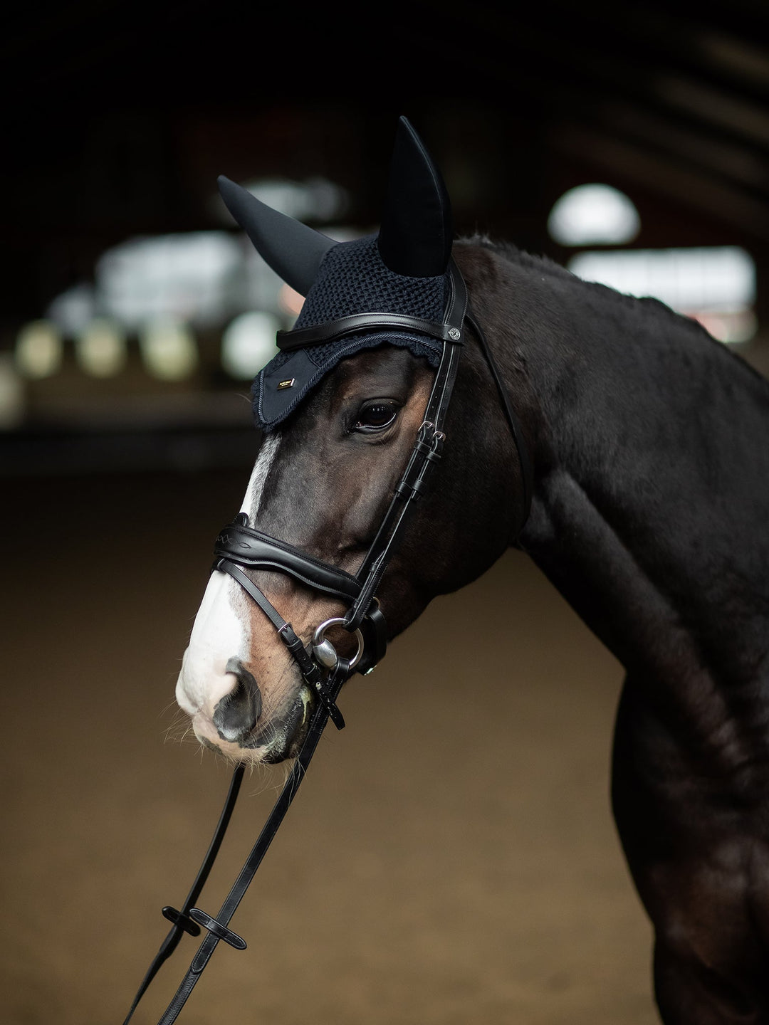 Equestrian Stockholm Soundless Fly Hood Navy Gold - Ear Bonnet - Kingdom Equestrian