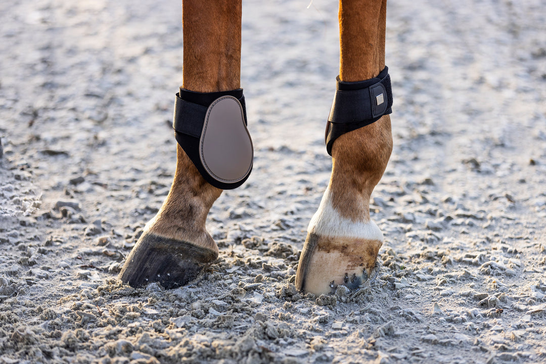 Imperial Riding Fetlock Boots Lovely