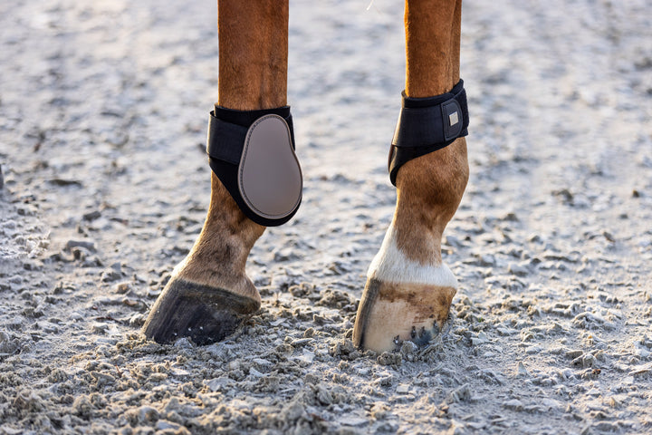 Imperial Riding Fetlock Boots Lovely