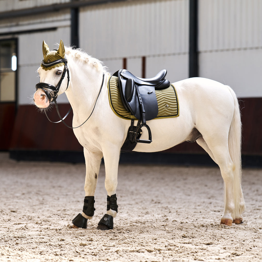 Imperial Riding Saddlepad Rebel DR