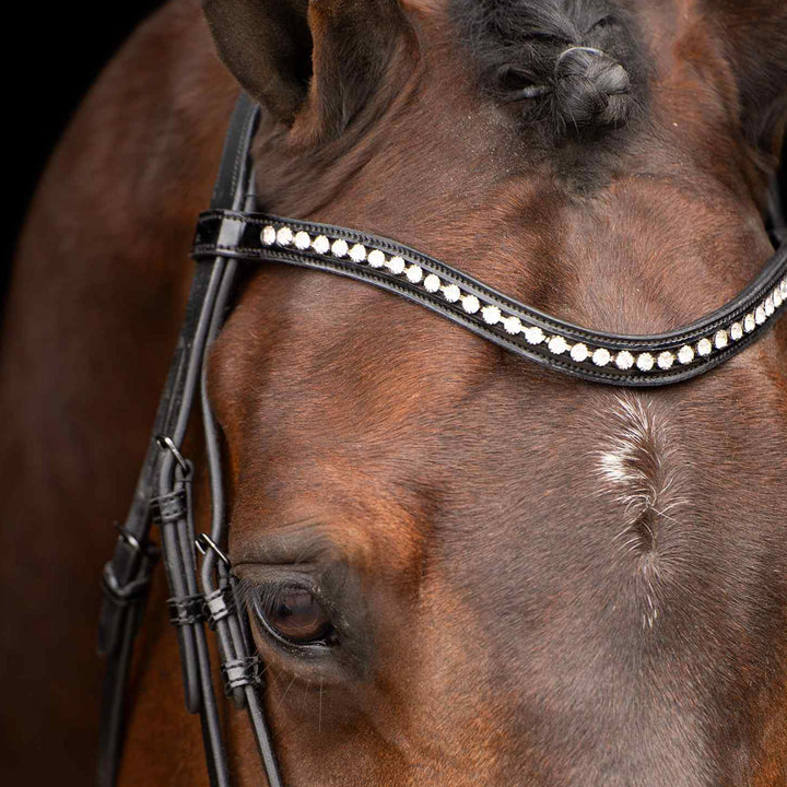 Imperial Riding Bridle Athena - Black