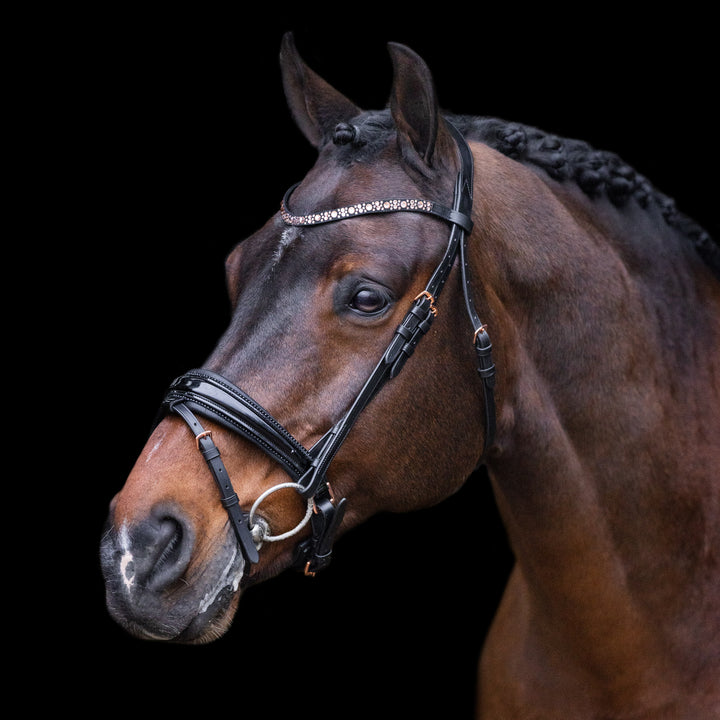 Imperial Riding Bridle Olympia - Black/Rose Gold