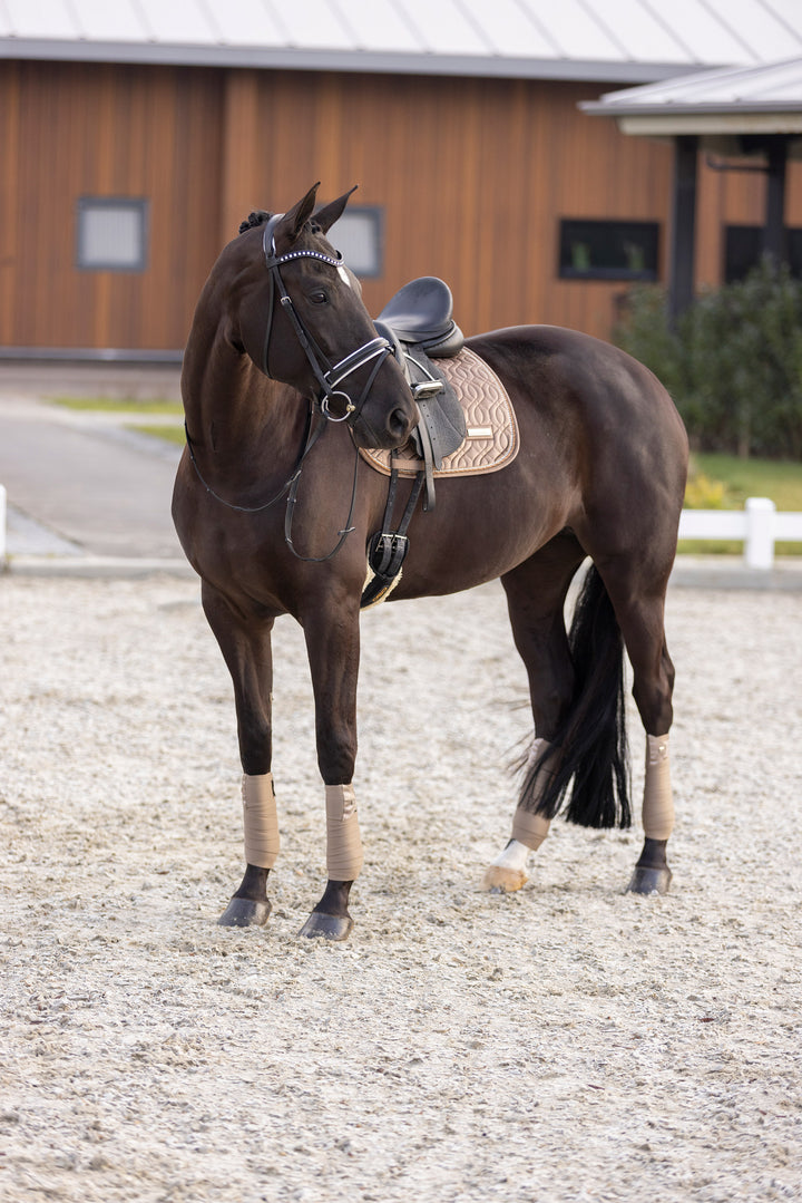 Imperial Riding Saddlepad Sky DR