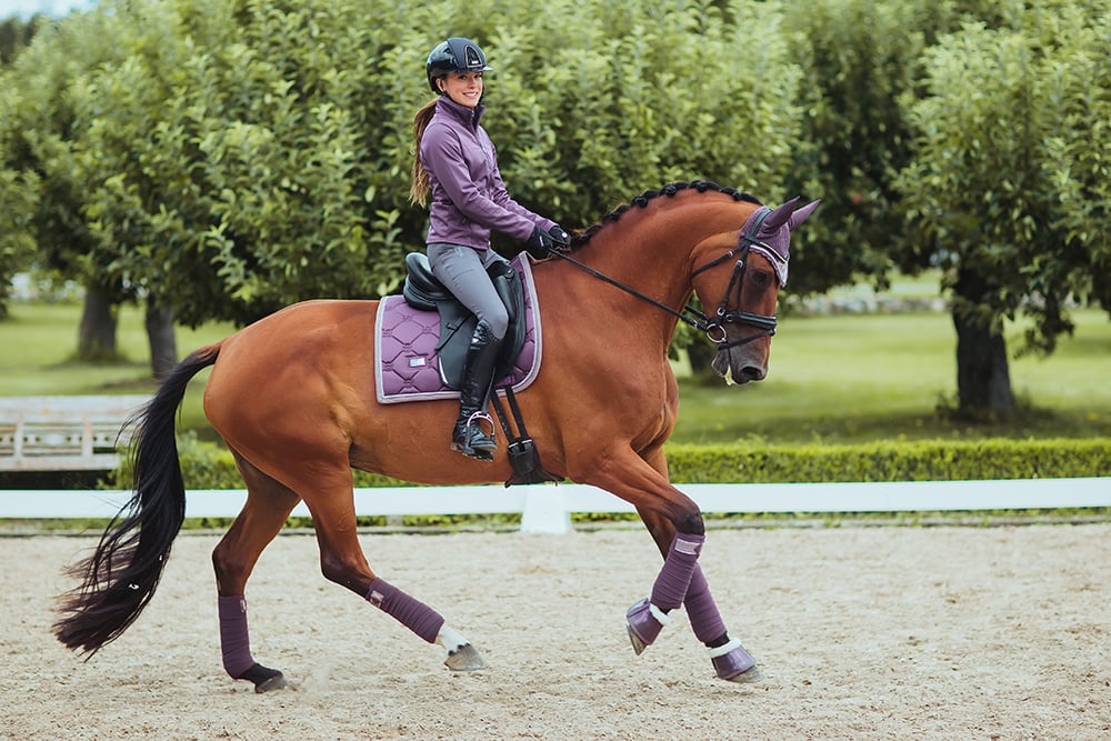 Riding Breeches Elite Grey - view 7