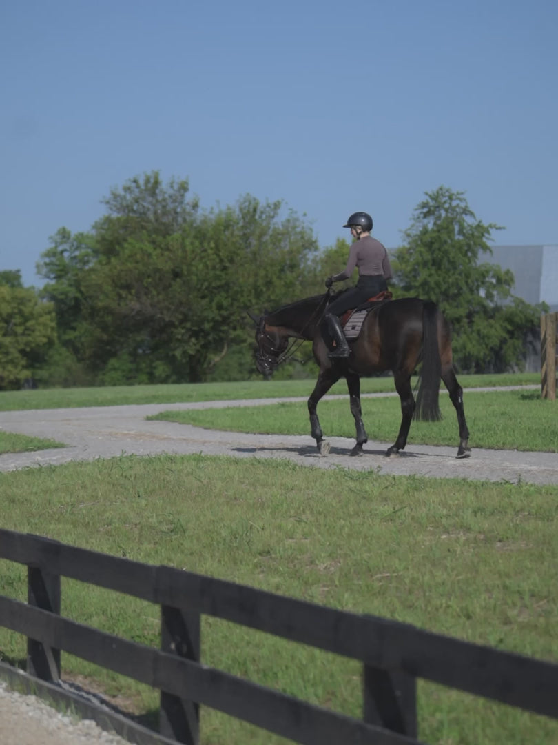 Equestrian Stockholm Jump Saddle Pad Performance Mocha product video
